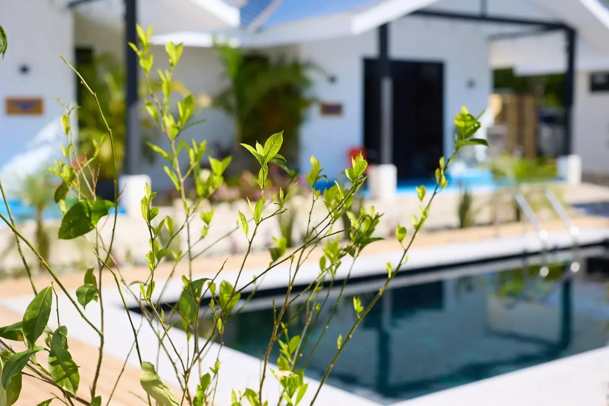 Villa Peuchere Experience