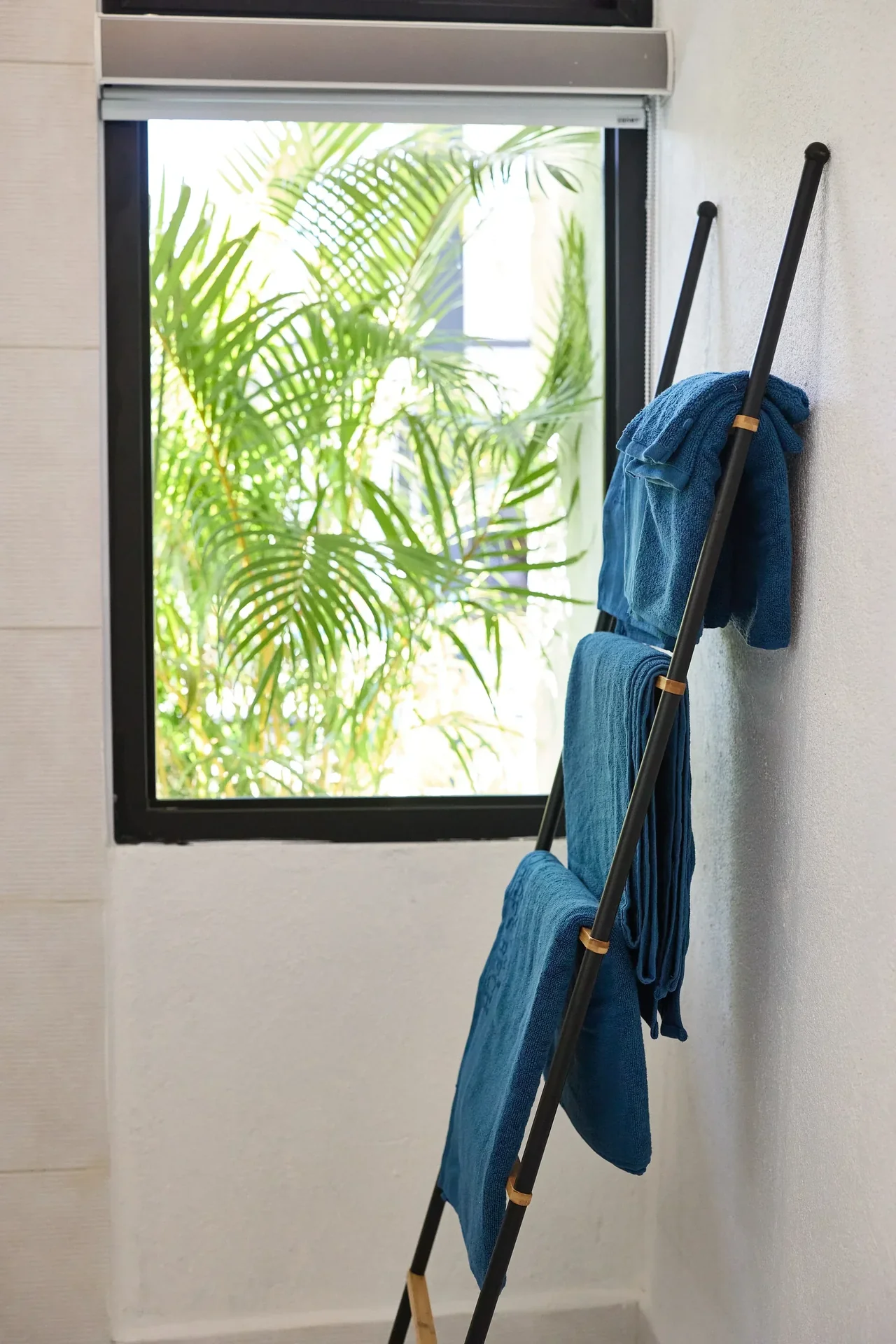 Suite 2 - Ballena view 8