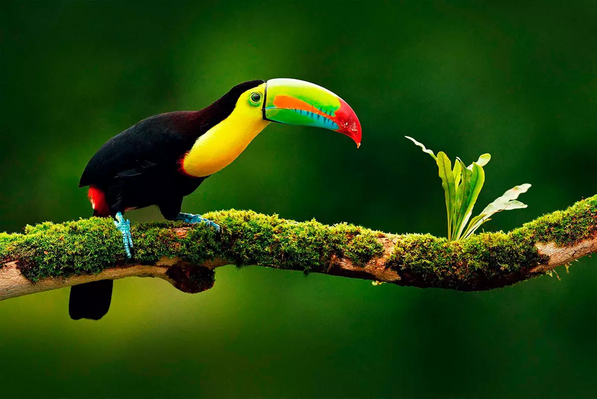 Parques naturales en Guanacaste, Costa Rica